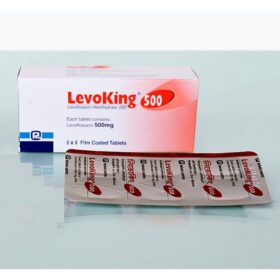 Levofloxacin 500mg Levoking Tab