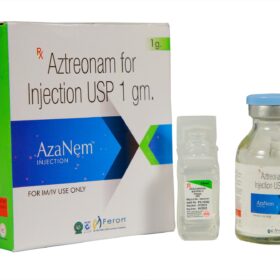 azanem 1000mg inj