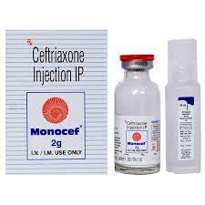 Monocef 2000mg Injection