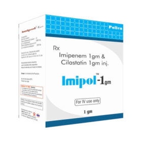 Imipol 1gm Injection