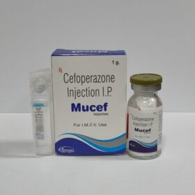 Mucef 1gm Injection